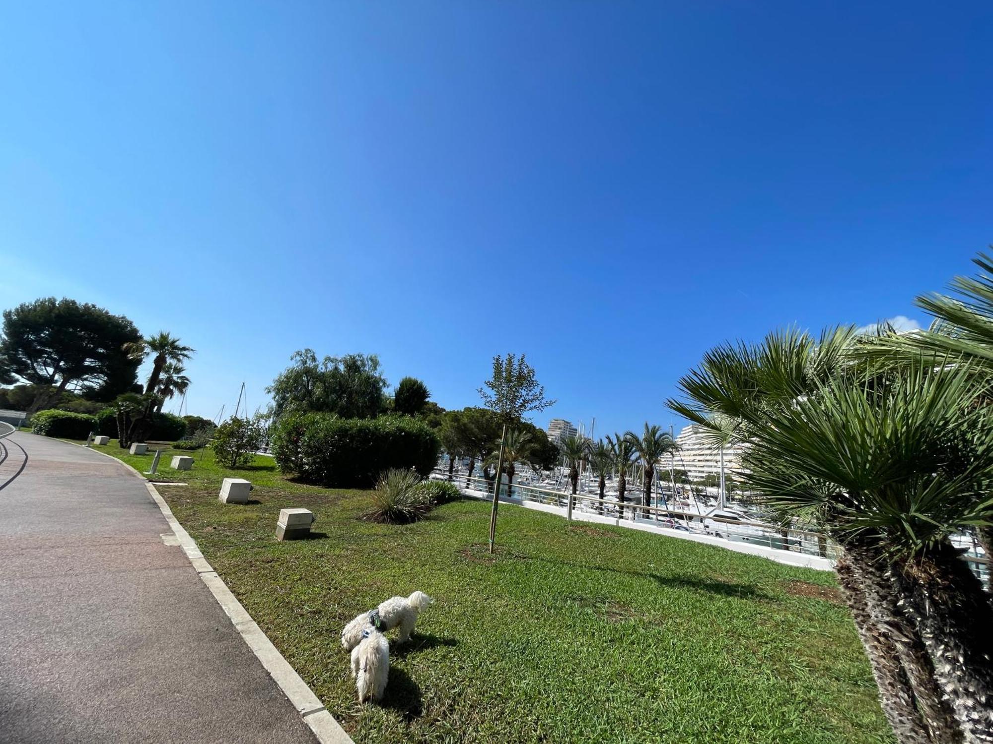 Studio A 2 Pas De La Plage Villeneuve-Loubet Exterior photo